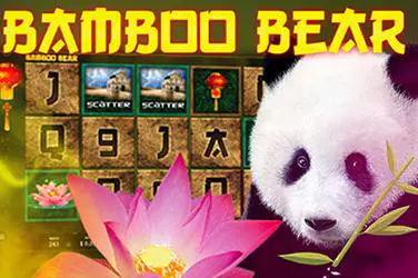 Bamboo Bear - Spin City - Congo